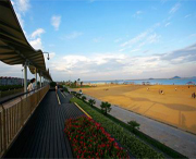 金山屯天气预报20天查询