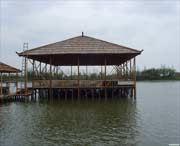 青浦天气预报20天查询