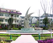 崇明天气预报20天查询