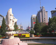 宁河天气预报20天查询