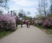 呼兰天气预报20天查询