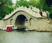 阿城天气预报20天查询