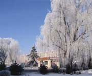 尚志天气预报20天查询