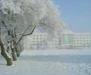 五常天气预报20天查询