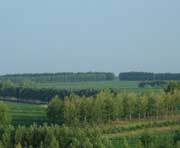 拜泉天气预报20天查询