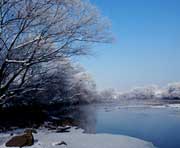 林口天气预报20天查询