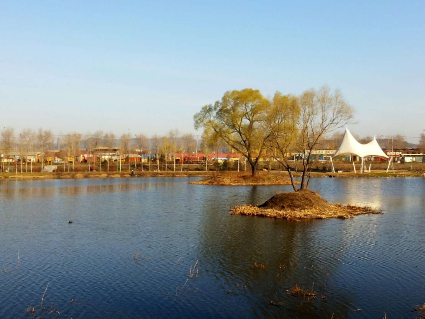 阳明天气预报20天查询