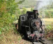 桦南天气预报20天查询