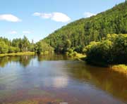 塔河天气预报20天查询