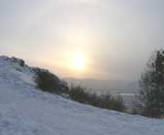 呼中天气预报20天查询