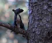 伊春天气预报20天查询