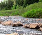 五营天气预报20天查询