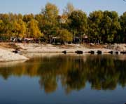 铁力天气预报20天查询