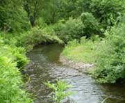 嘉荫天气预报20天查询