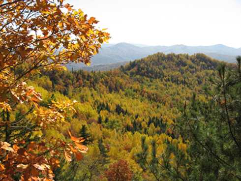 翠峦天气预报20天查询