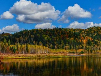 乌马河天气预报20天查询