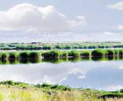 肇州天气预报20天查询