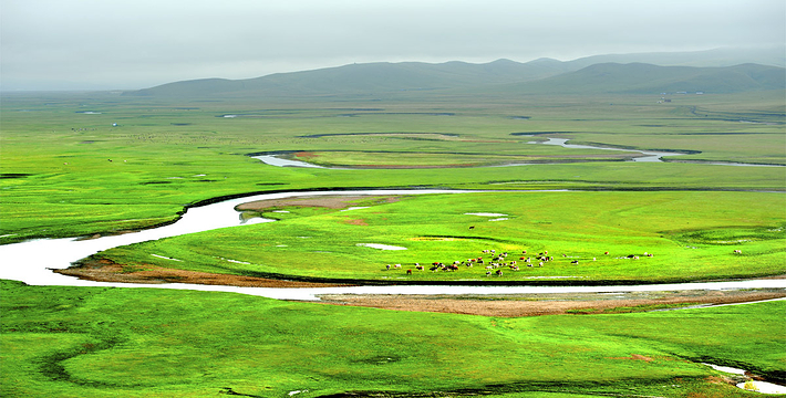 杜尔伯特天气预报20天查询