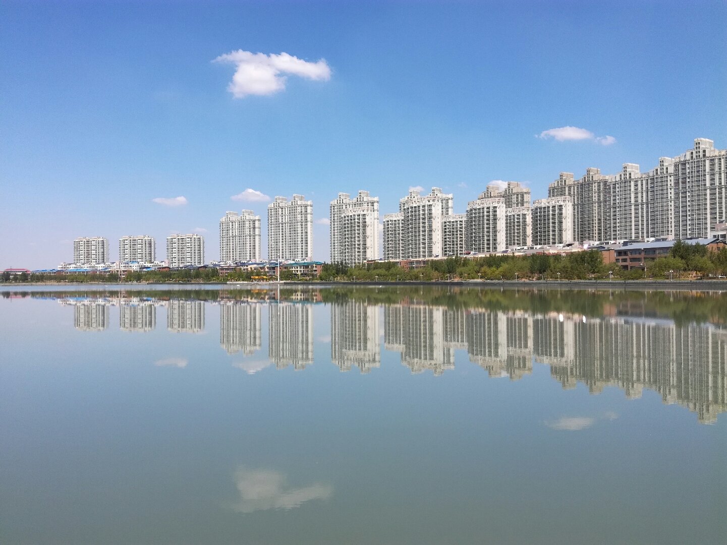 龙凤天气预报20天查询