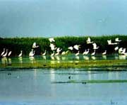 密山天气预报20天查询