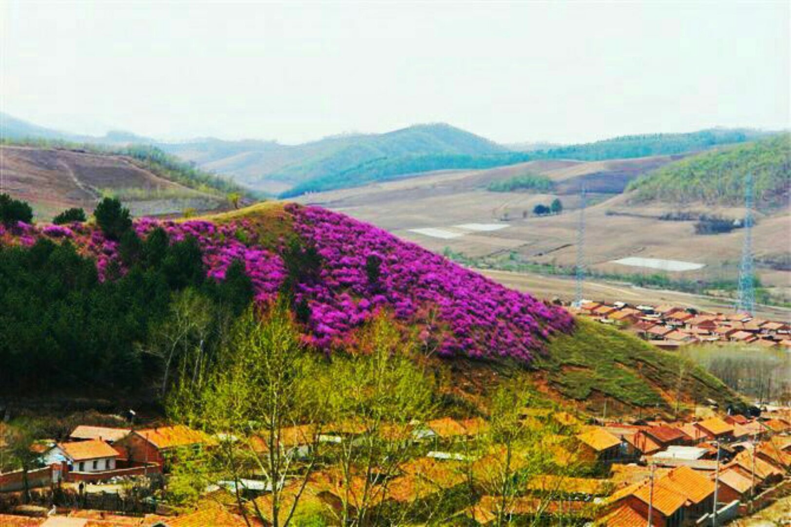 麻山天气预报20天查询