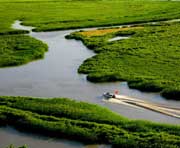 双鸭山天气预报20天查询