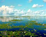 宝清天气预报20天查询