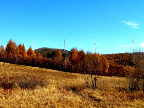 四方台天气预报20天查询