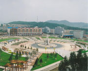 安图天气预报20天查询