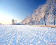 四平天气预报20天查询