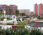 梨树天气预报20天查询