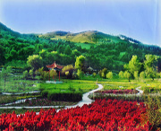 伊通天气预报20天查询