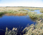 白城天气预报20天查询