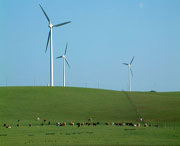 长岭天气预报20天查询