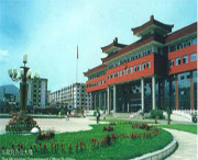 临江天气预报20天查询