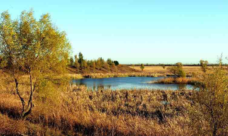 台安天气预报20天查询