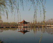 黑山天气预报20天查询