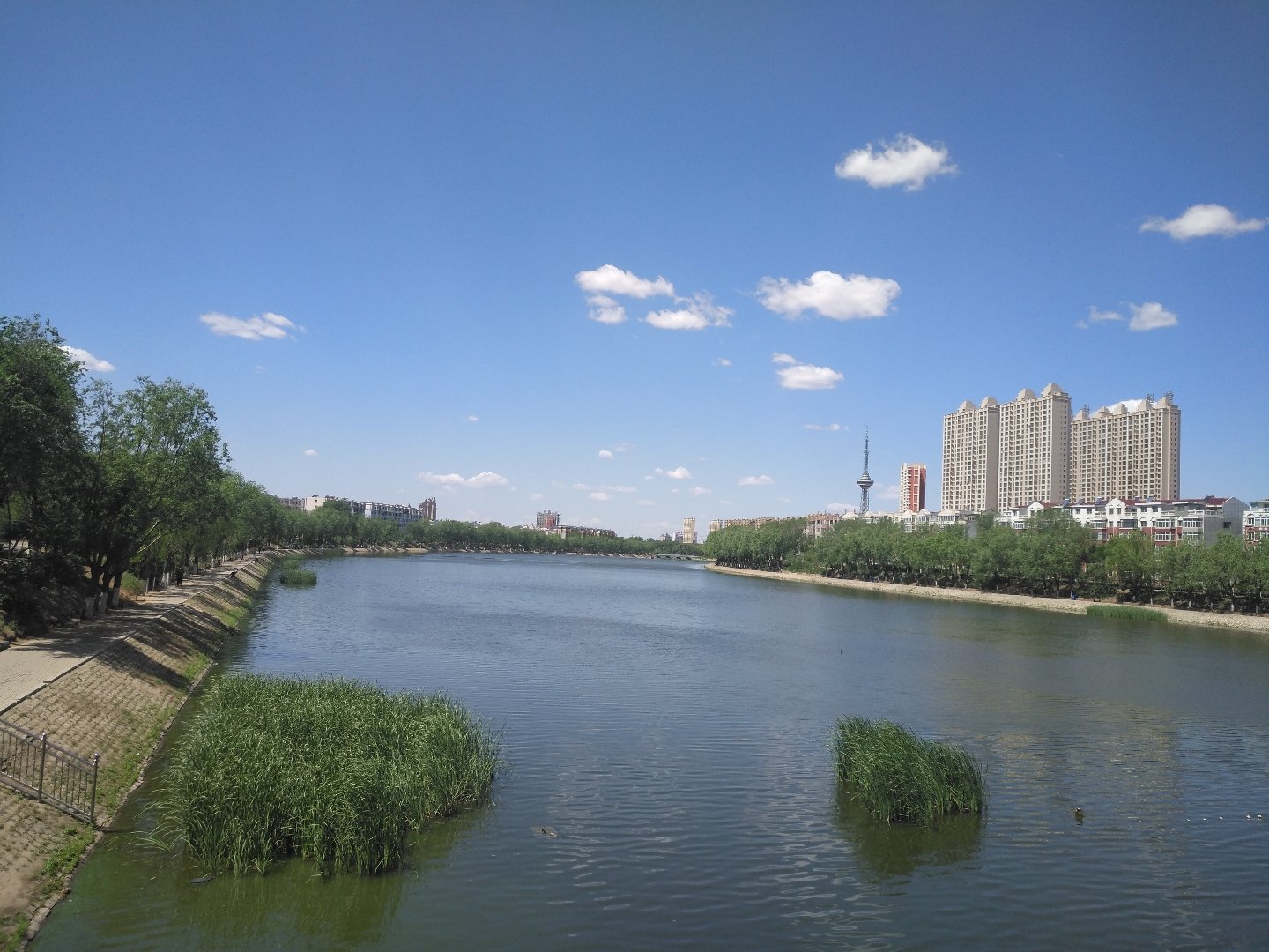 太平天气预报20天查询