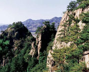 开原天气预报20天查询