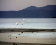 北票天气预报20天查询