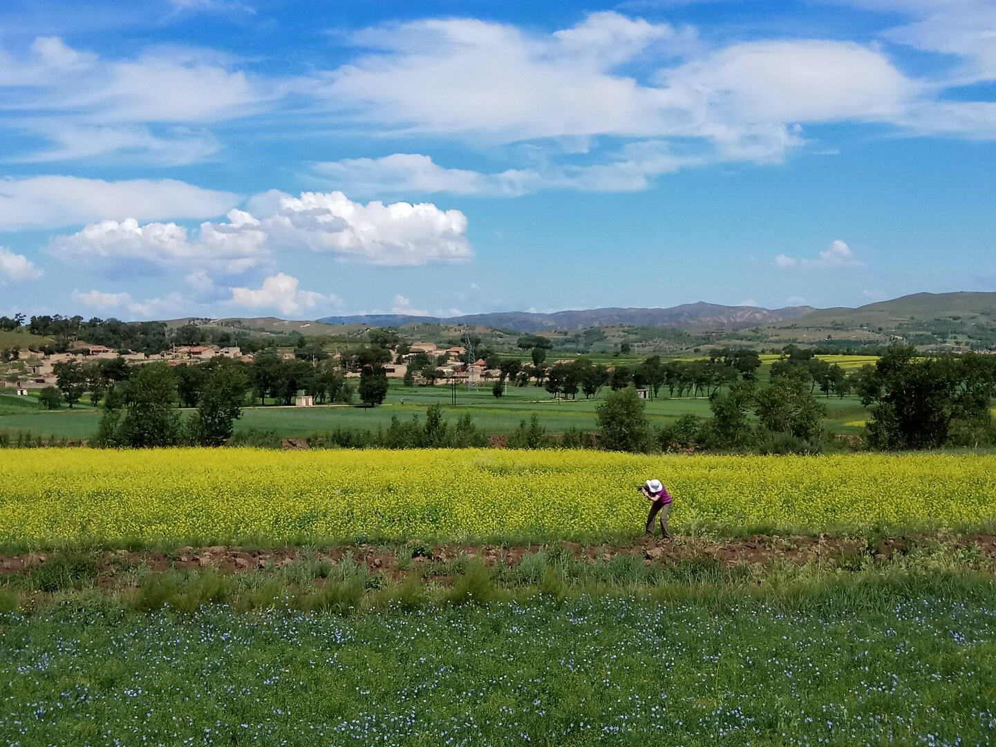 卓资天气预报20天查询