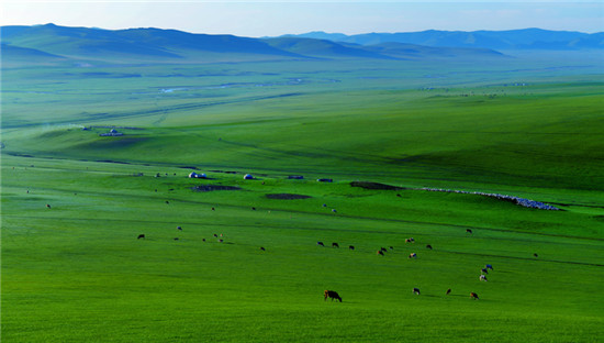 扎鲁特旗天气预报20天查询