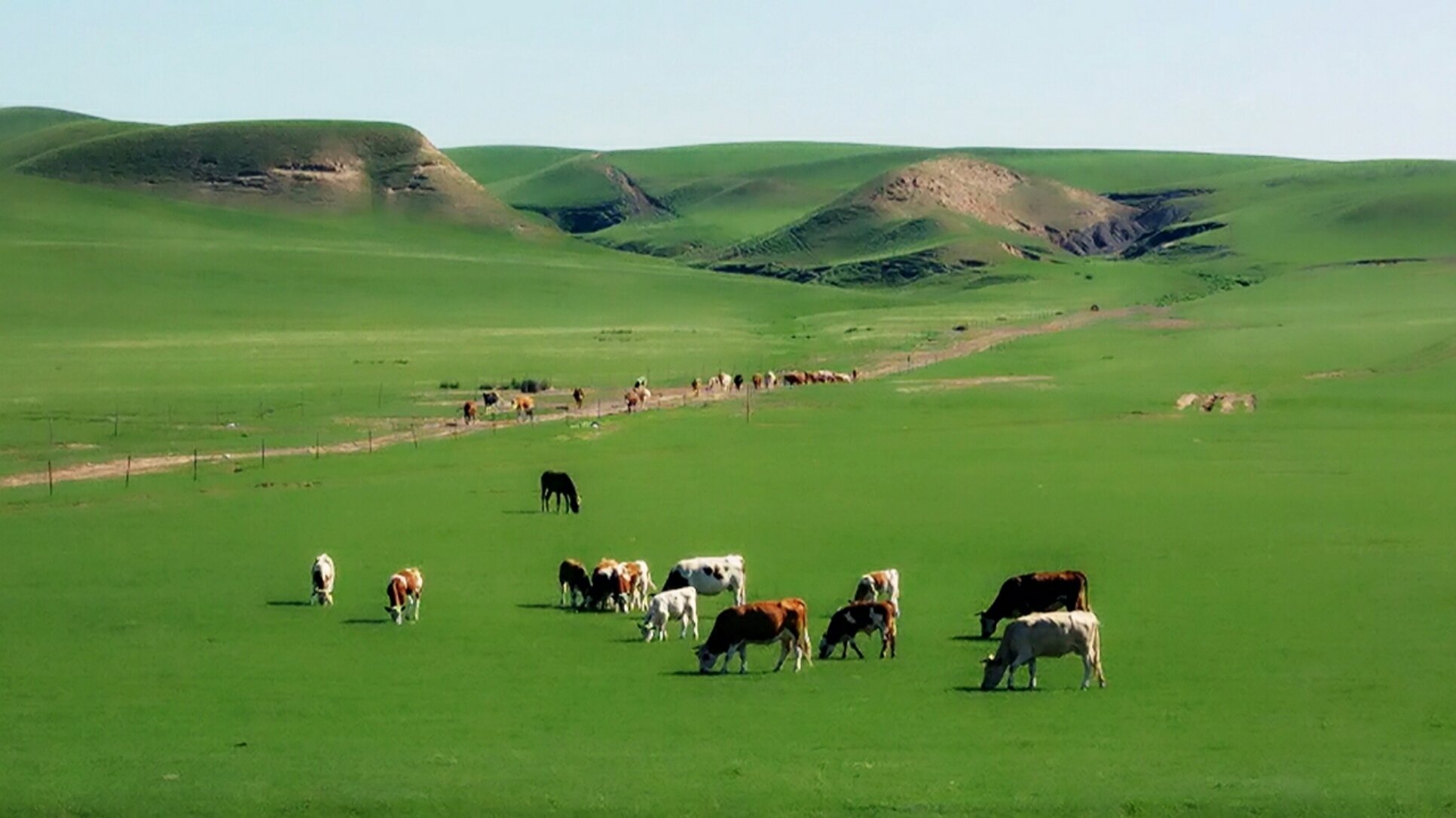 巴林左旗天气预报20天查询