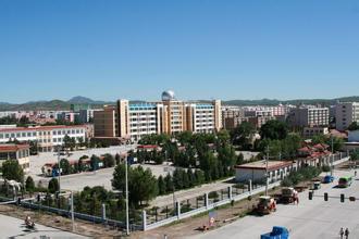 林西天气预报20天查询