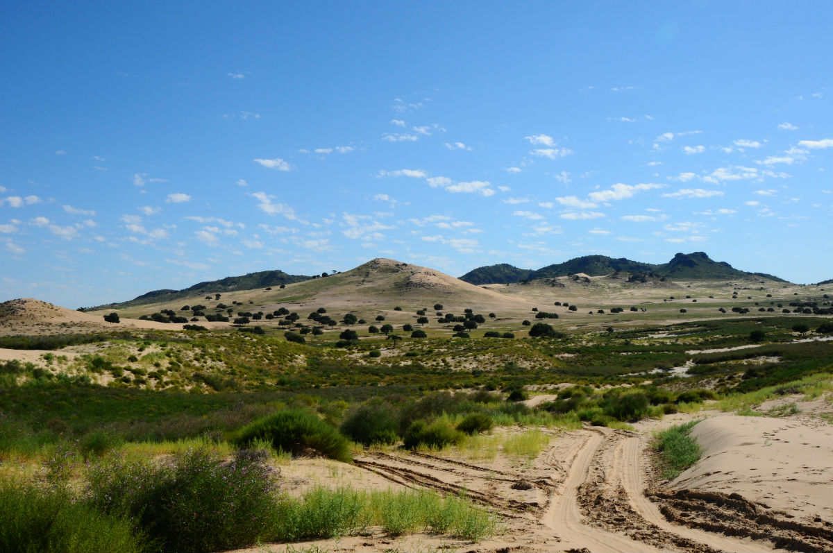 翁牛特旗天气预报20天查询