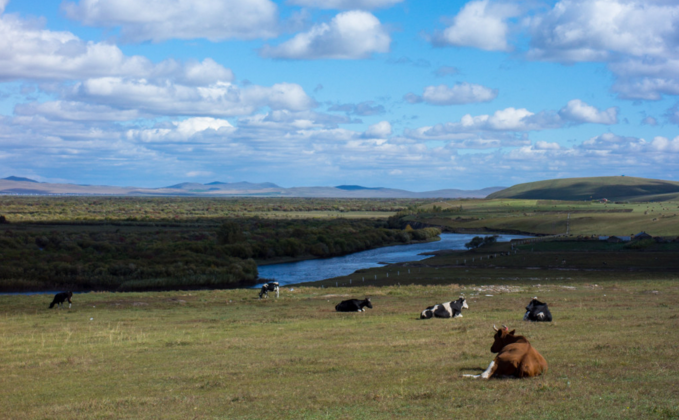 鄂托克旗天气预报20天查询