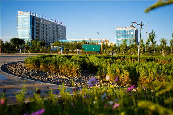 杭锦旗天气预报20天查询