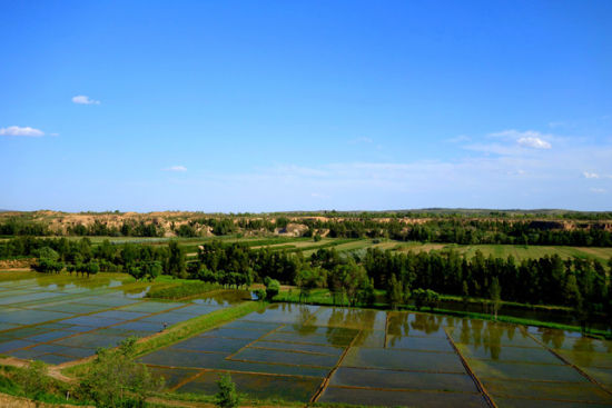 乌审旗天气预报20天查询
