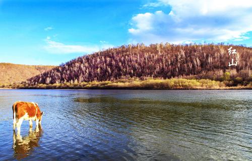 莫旗天气预报20天查询