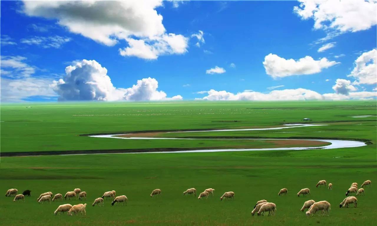 呼伦贝尔天气预报20天查询